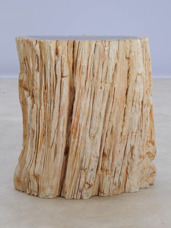 Beistelltisch versteinertes Holz 48355