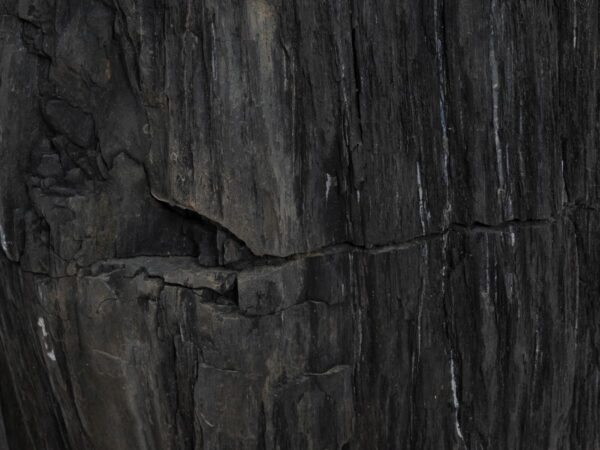 Beistelltisch versteinertes Holz 48356