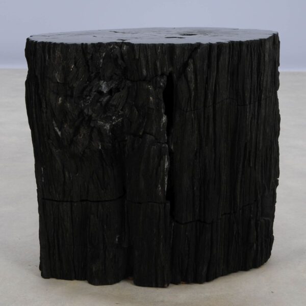 Beistelltisch versteinertes Holz 48357