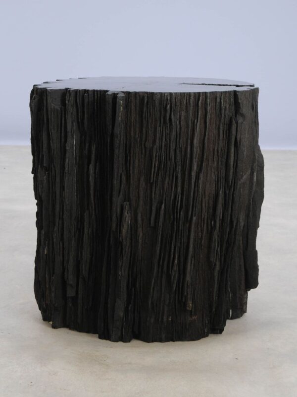 Beistelltisch versteinertes Holz 48360