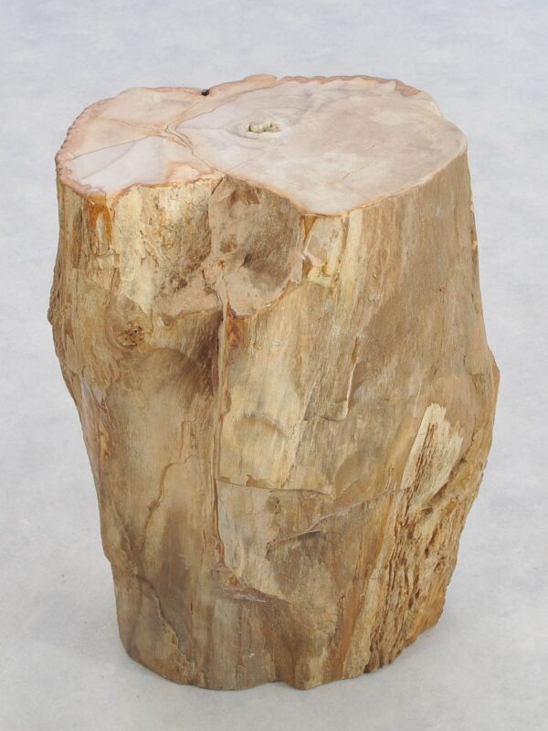 Bijzettafel versteend hout 43153