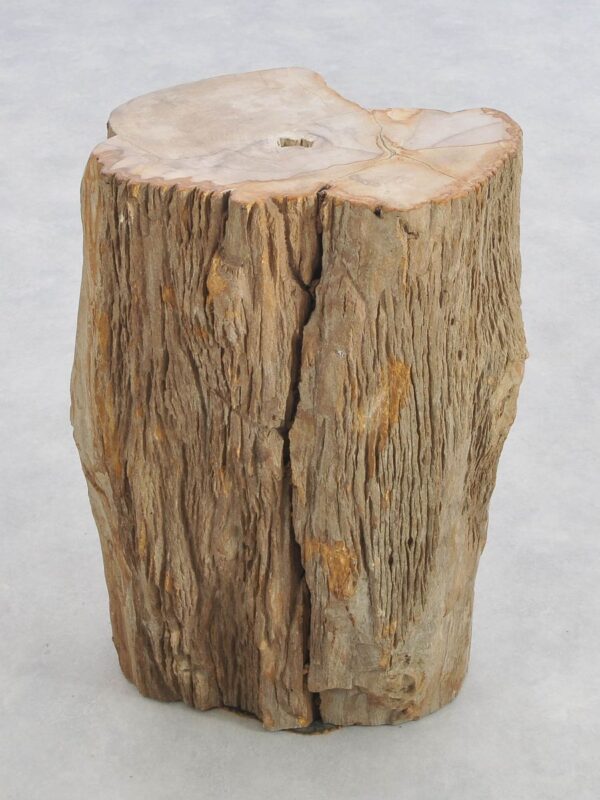 Bijzettafel versteend hout 43153