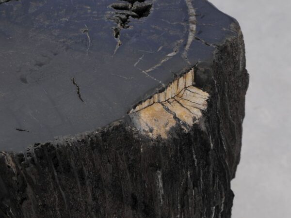 Bijzettafel versteend hout 47027