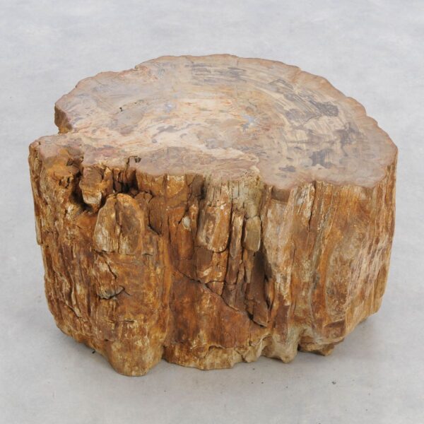 Bijzettafel versteend hout 48003
