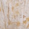 Bijzettafel versteend hout 48005