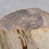 Bijzettafel versteend hout 48013