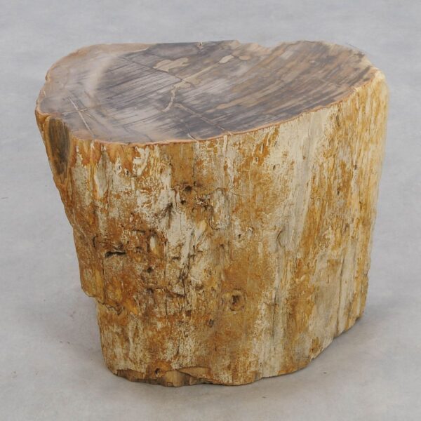 Bijzettafel versteend hout 48013