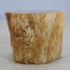 Bijzettafel versteend hout 48013