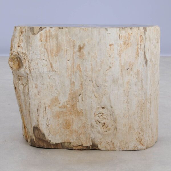 Bijzettafel versteend hout 48014