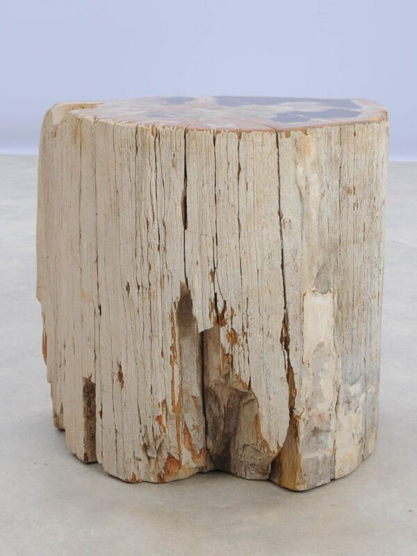 Bijzettafel versteend hout 48018