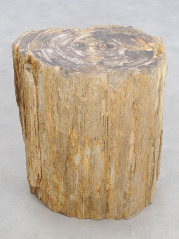 Bijzettafel versteend hout 48019