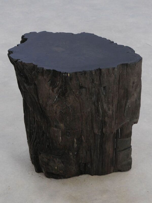 Bijzettafel versteend hout 48026
