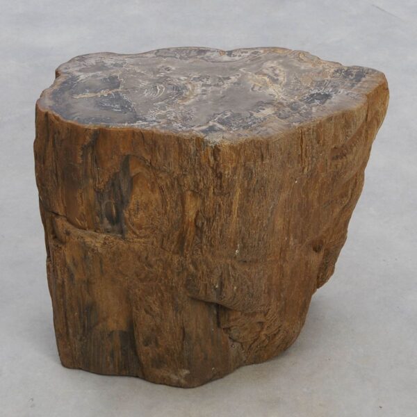 Bijzettafel versteend hout 48029