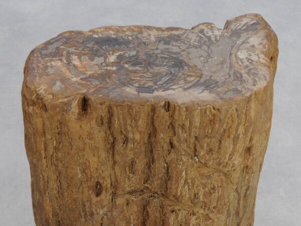 Bijzettafel versteend hout 48030