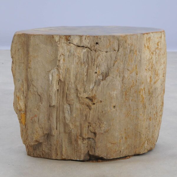 Bijzettafel versteend hout 48033