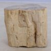 Bijzettafel versteend hout 48042