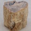 Bijzettafel versteend hout 48042