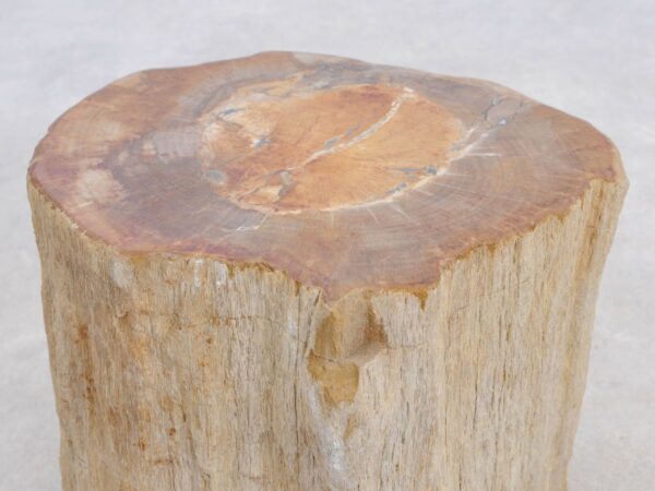 Bijzettafel versteend hout 48046