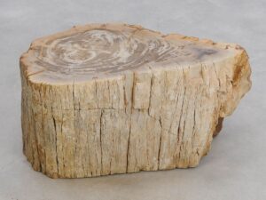 Bijzettafel versteend hout 48054