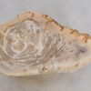 Bijzettafel versteend hout 48054