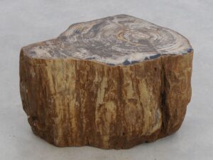 Bijzettafel versteend hout 48055