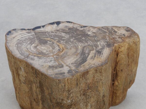 Bijzettafel versteend hout 48055
