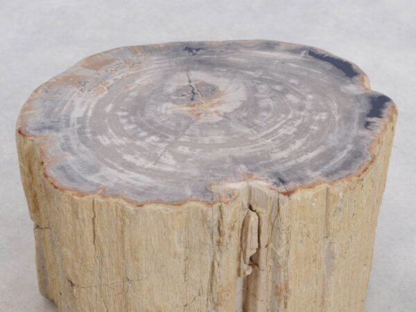Bijzettafel versteend hout 48114