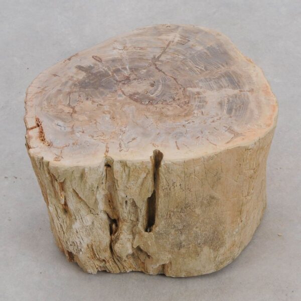 Bijzettafel versteend hout 48179