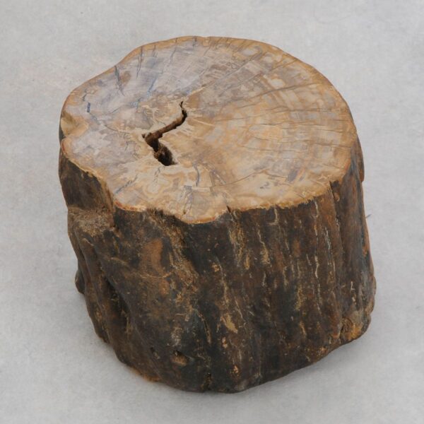 Bijzettafel versteend hout 48194