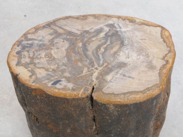 Bijzettafel versteend hout 48196