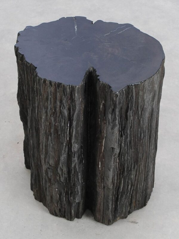 Bijzettafel versteend hout 48312