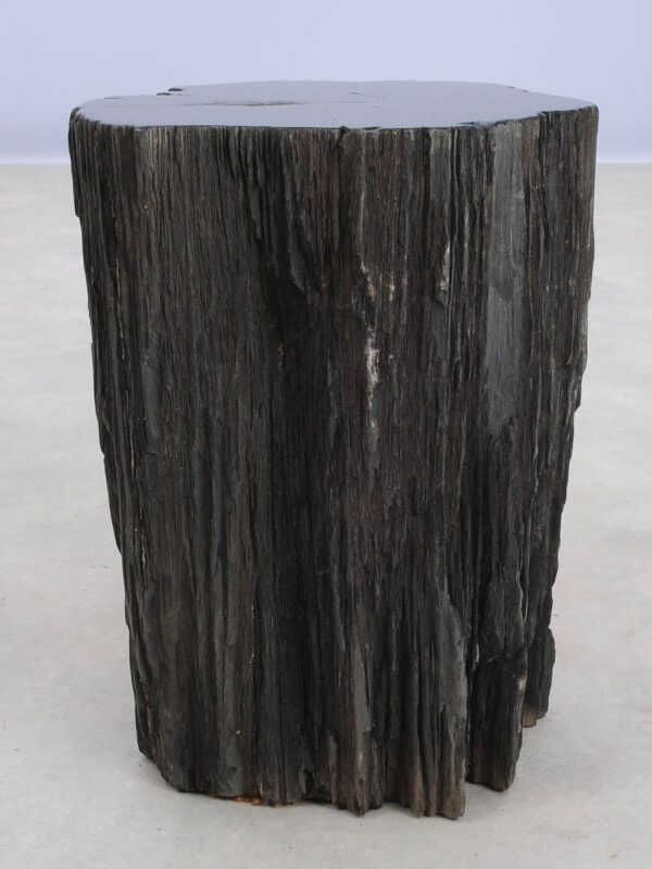 Bijzettafel versteend hout 48314