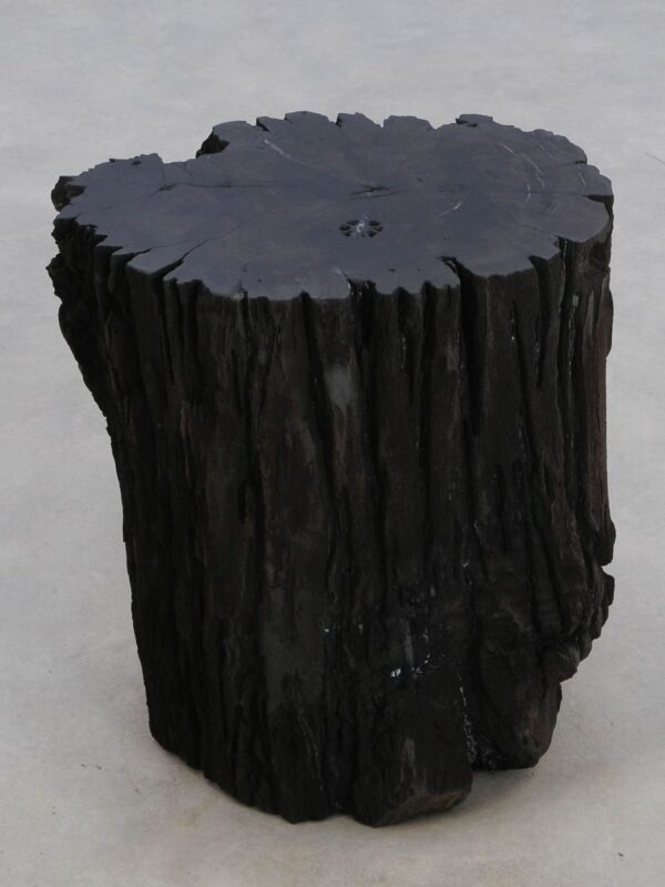 Bijzettafel versteend hout 48354