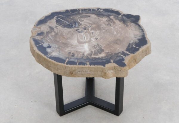 Coffee table petrified wood 48130