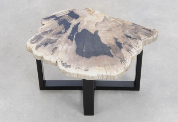 Coffee table petrified wood 48133