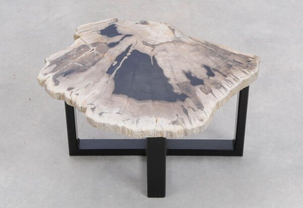 Coffee table petrified wood 48134