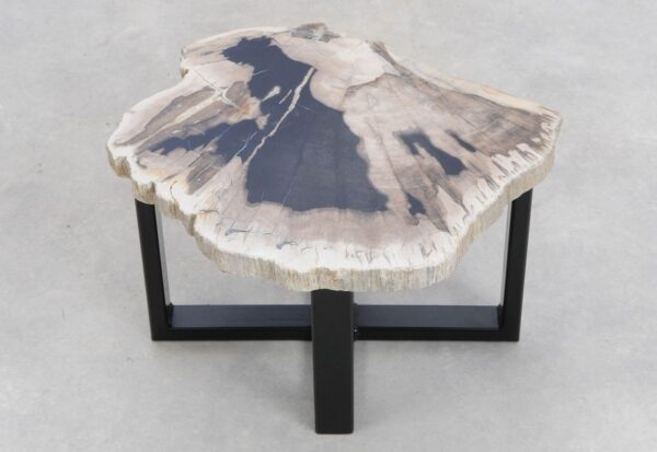 Coffee table petrified wood 48135