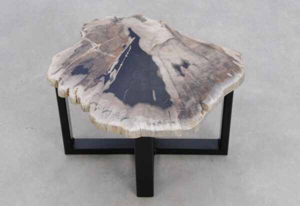 Coffee table petrified wood 48136