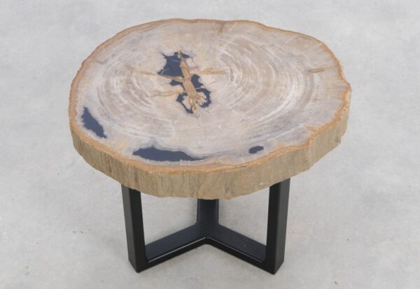 Coffee table petrified wood 48154