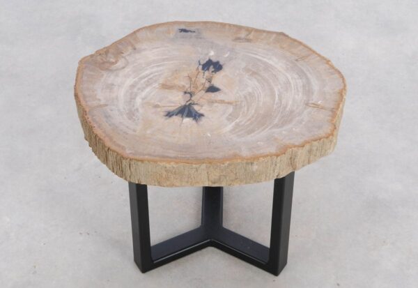 Coffee table petrified wood 48155