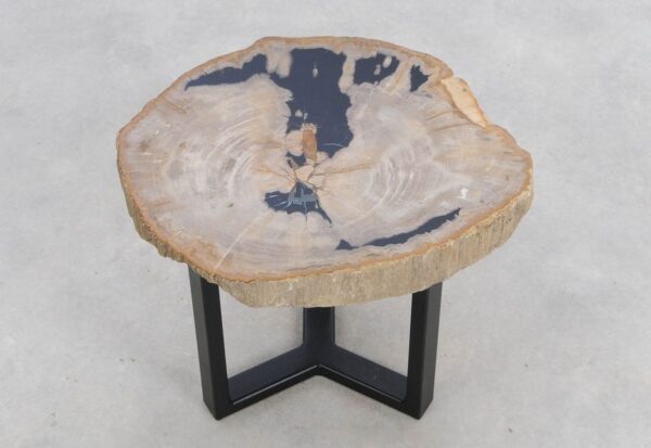 Coffee table petrified wood 48156