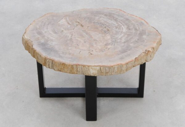 Coffee table petrified wood 48157