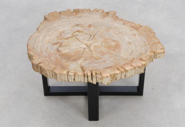 Coffee table petrified wood 48158