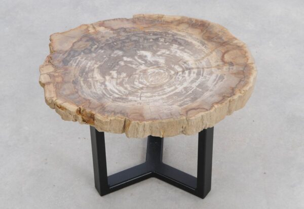 Coffee table petrified wood 48163