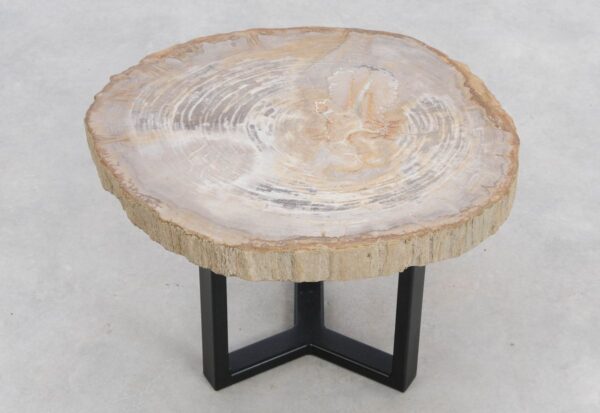 Coffee table petrified wood 48164