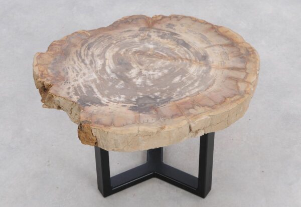 Coffee table petrified wood 48166
