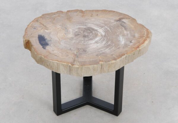 Coffee table petrified wood 48168