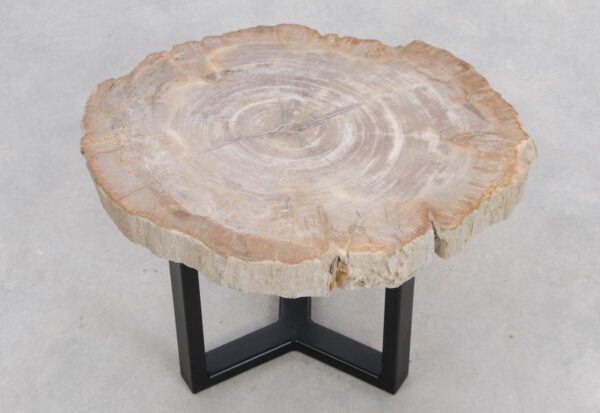 Coffee table petrified wood 48169