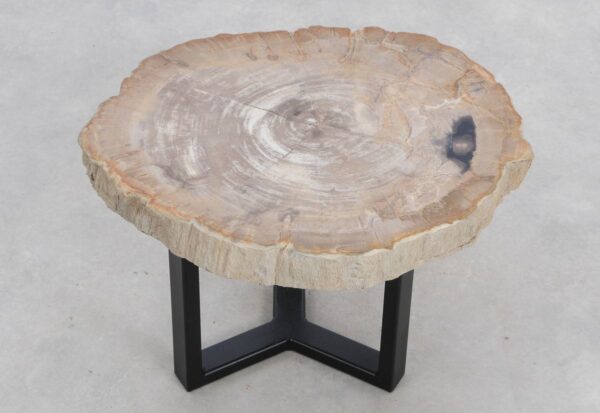 Coffee table petrified wood 48170