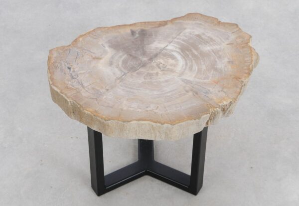 Coffee table petrified wood 48174